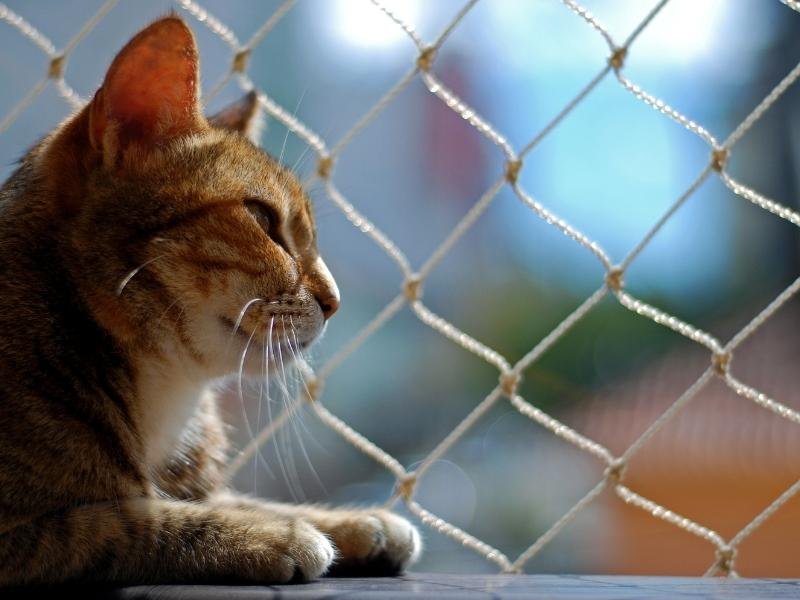 Redes de proteção para playgrounds em Pelotas