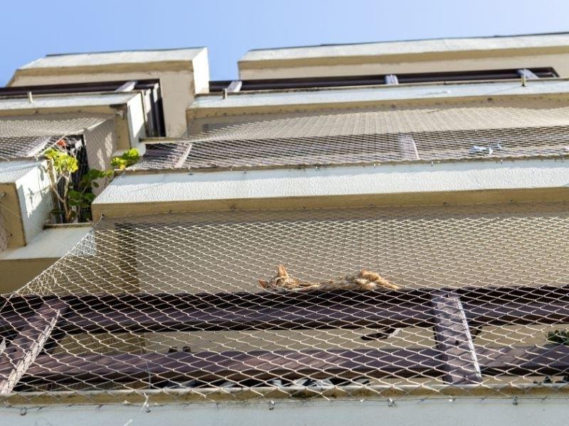 Rede de proteção de alta resistência em Porto, Pelotas