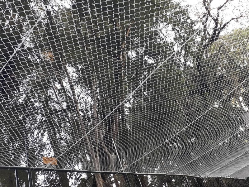Telas de Proteção Para Piscinas em Capão do Leão Telas de Proteção Para Piscinas em Capão do Leão