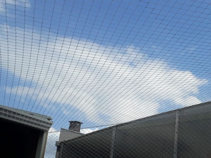 Telas de Proteção para Janelas em Laranjal Pelotas Telas de Proteção para Janelas em Laranjal Pelotas